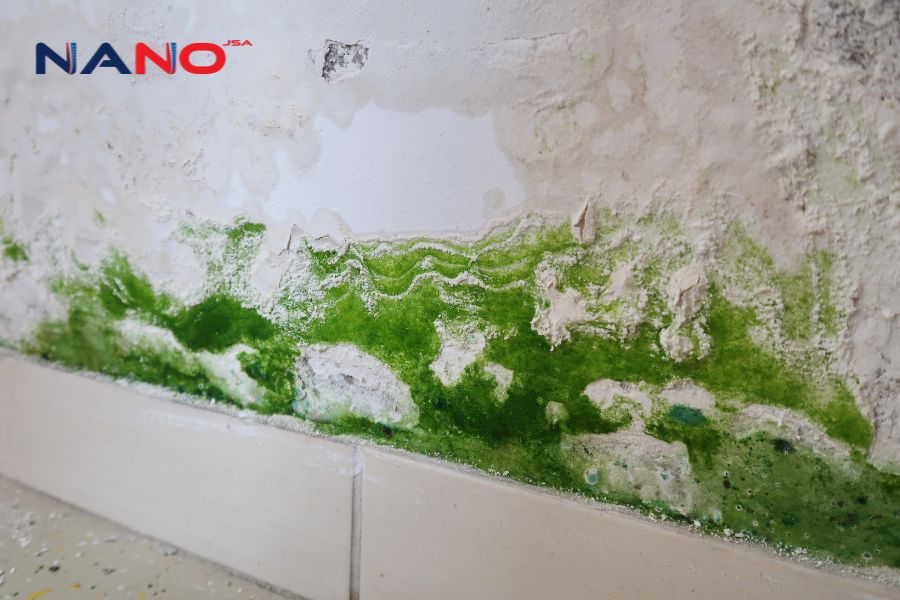 Giải Pháp Chống Nấm Mốc Tường Nhà Hiệu Quả