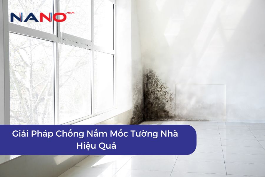 Giải Pháp Chống Nấm Mốc Tường Nhà Hiệu Quả
