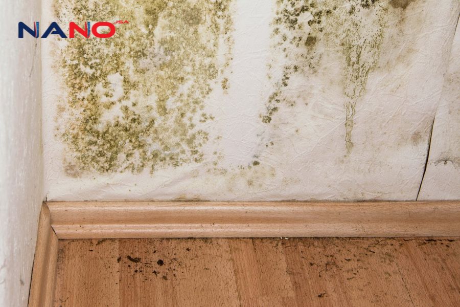 [Giải Đáp] Sơn Kháng Khuẩn Là Gì?