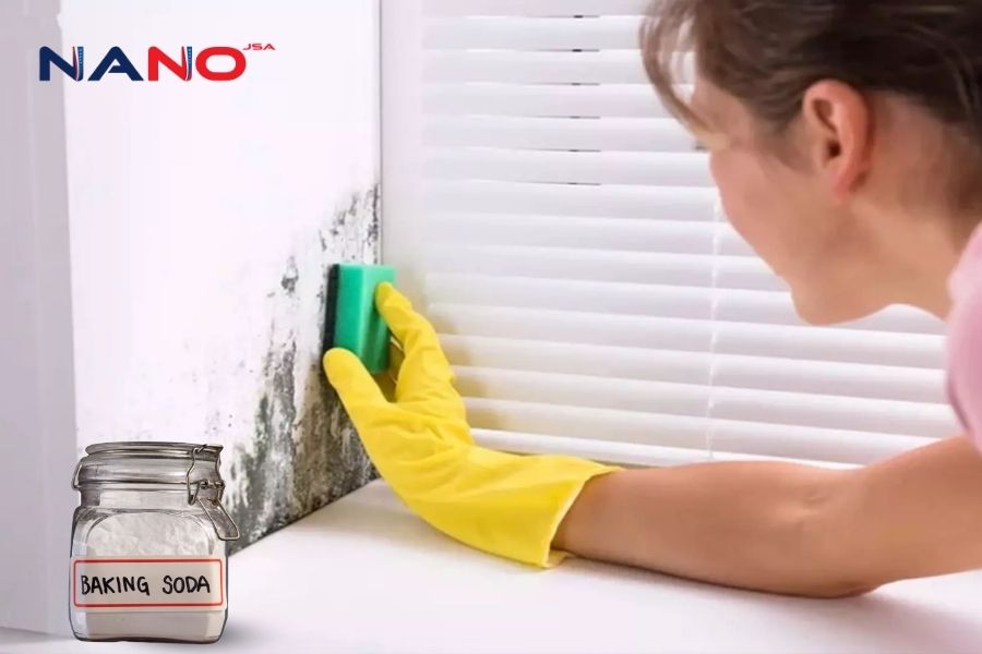 Top 8 Cách Làm Sạch Tường Bị Ẩm Mốc