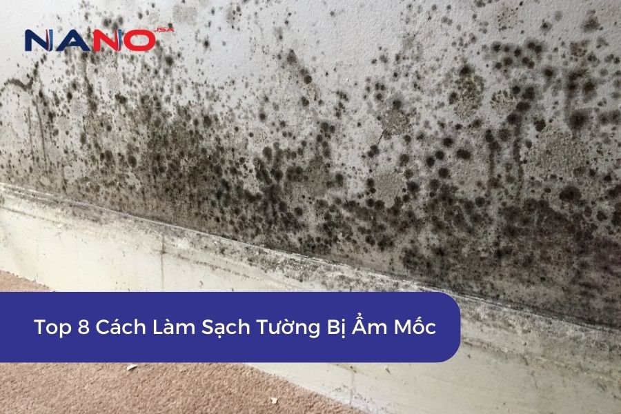 Top 8 Cách Làm Sạch Tường Bị Ẩm Mốc