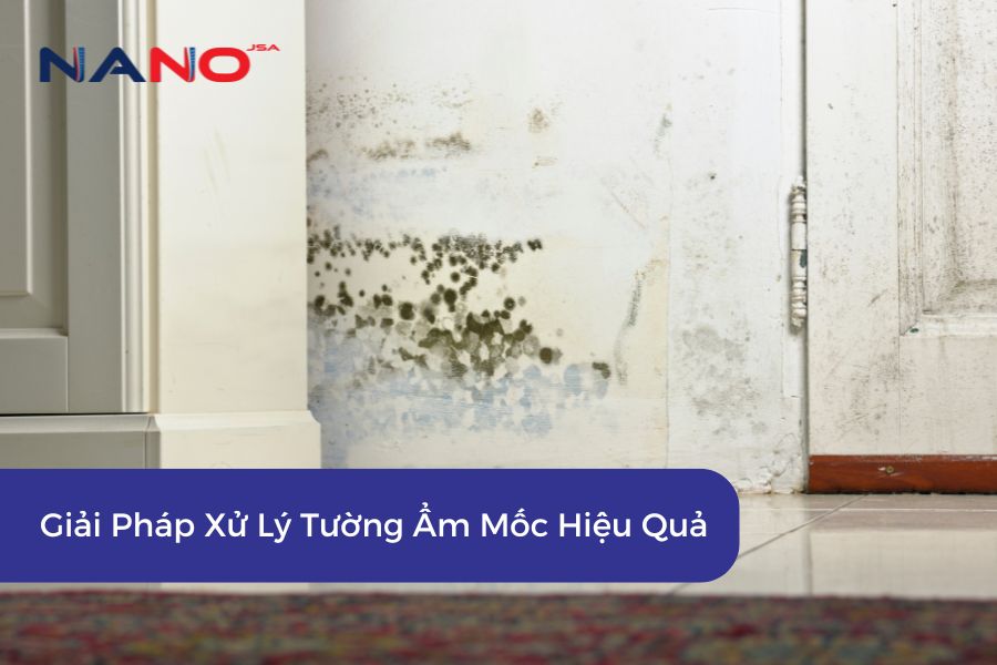 Giải Pháp Xử Lý Tường Ẩm Mốc Hiệu Quả