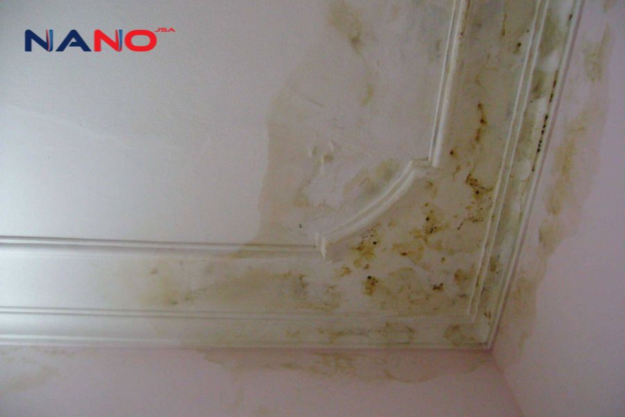 Sơn Chống Thấm Trần Nhà - Giải Pháp Bảo Vệ Công Trình Bền Đẹp Lâu Dài
